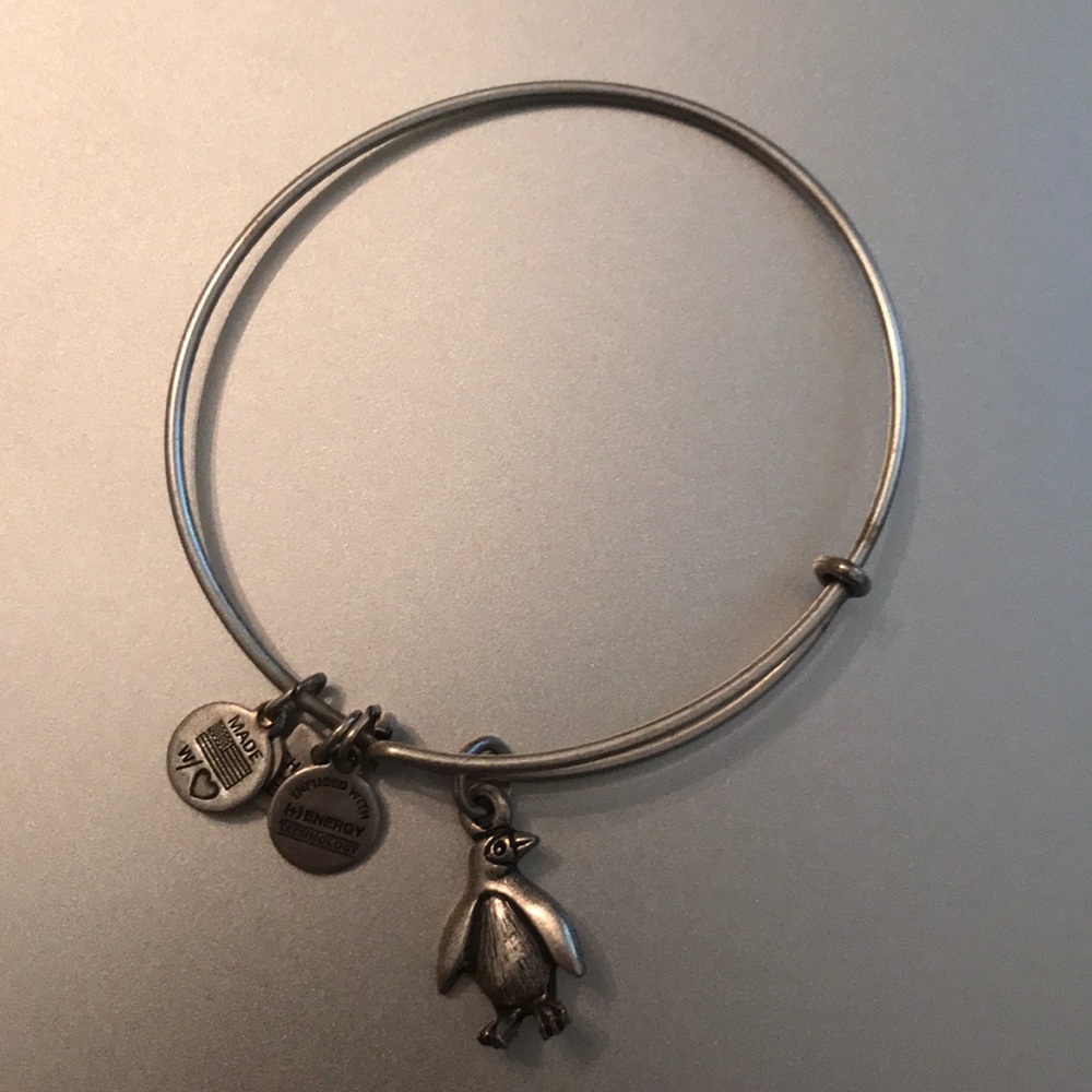 Alex and ani penguin bracelet